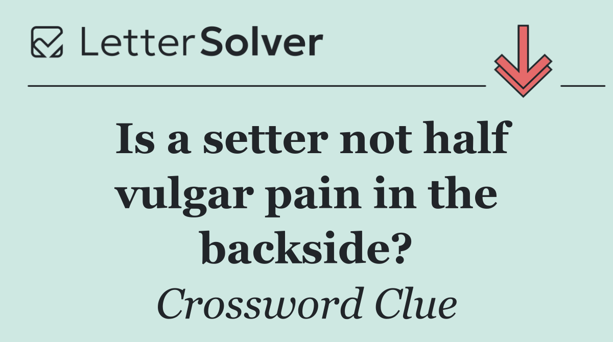 Is a setter not half vulgar pain in the backside?