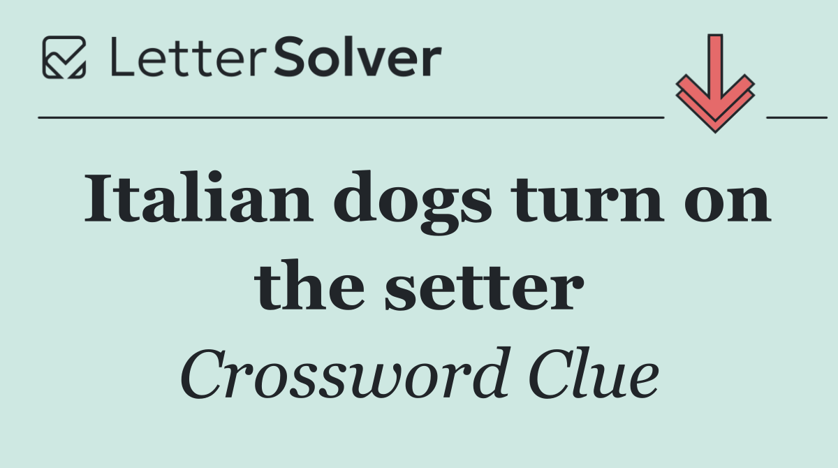 Italian dogs turn on the setter