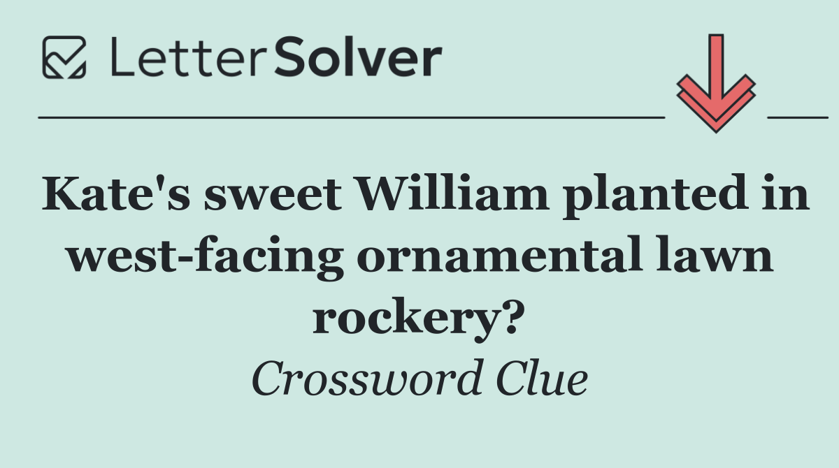 Kate's sweet William planted in west facing ornamental lawn rockery?