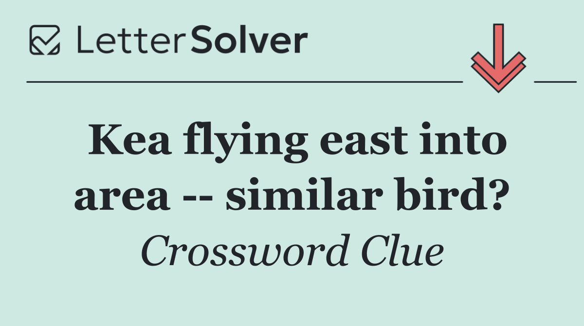 Kea flying east into area    similar bird?