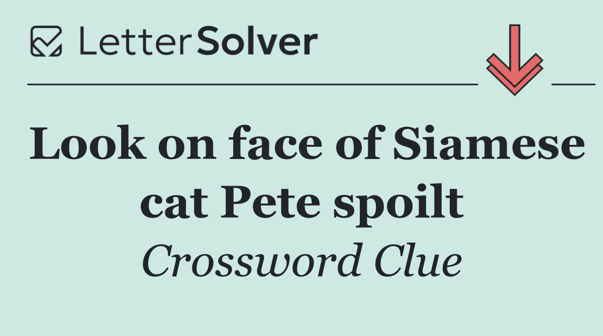 Look on face of Siamese cat Pete spoilt