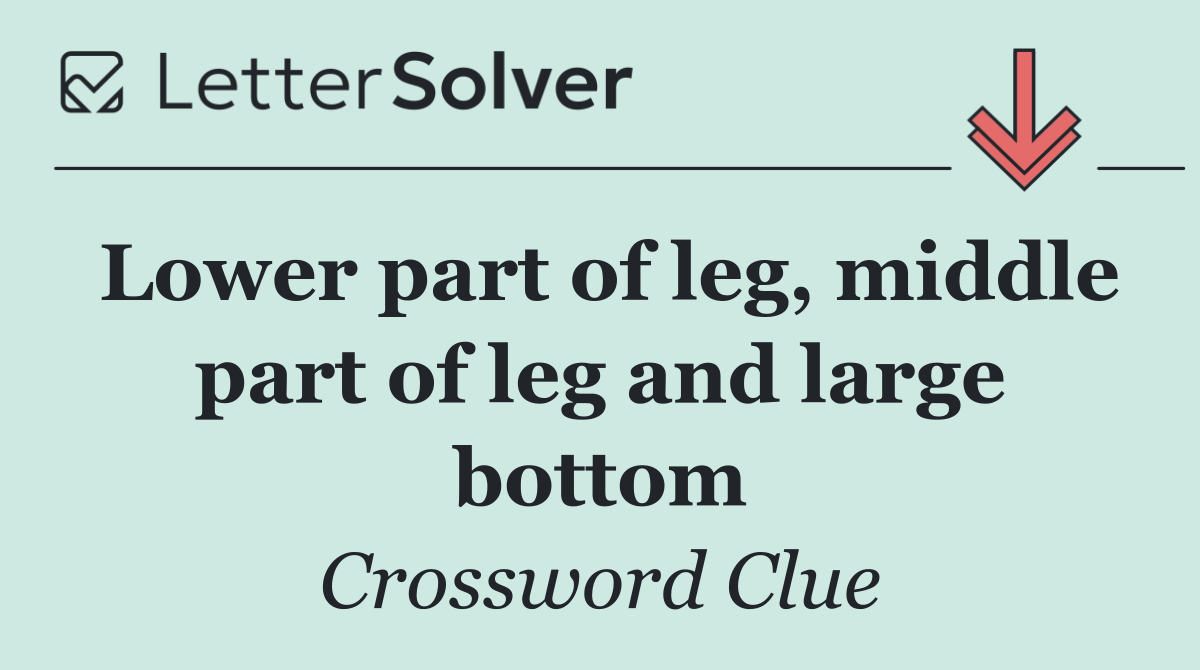 Lower part of leg, middle part of leg and large bottom