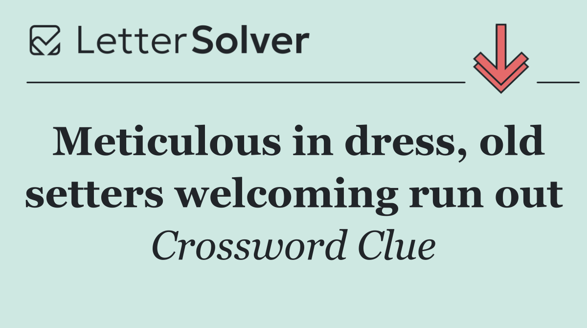 Meticulous in dress, old setters welcoming run out