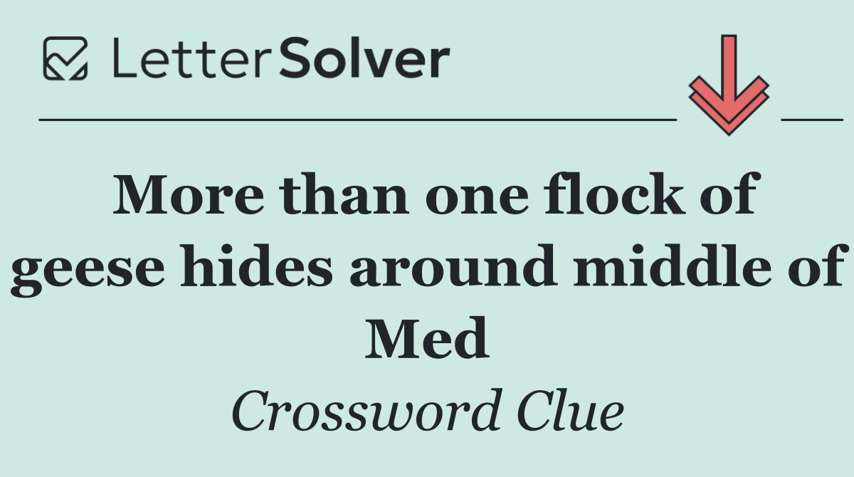 More than one flock of geese hides around middle of Med