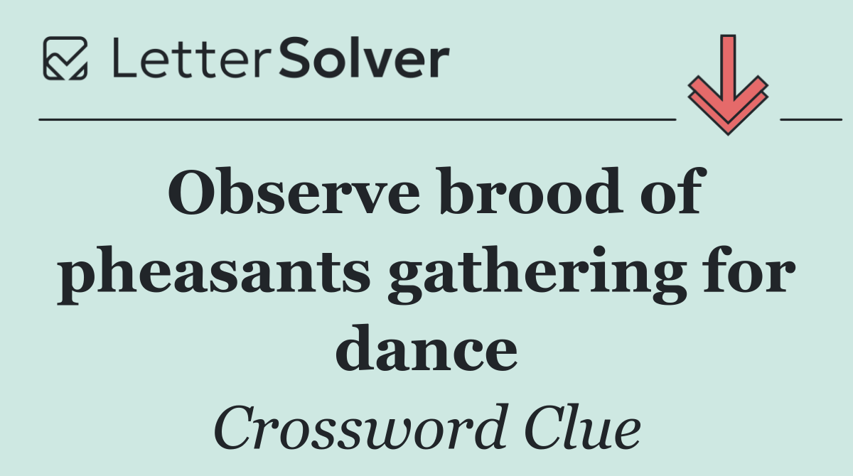 Observe brood of pheasants gathering for dance