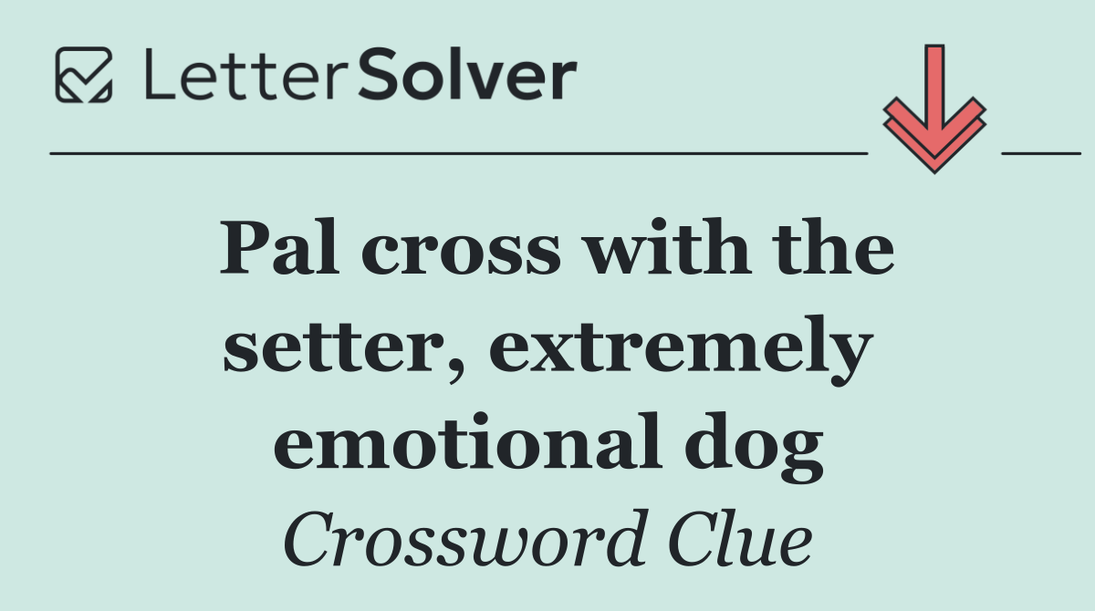 Pal cross with the setter, extremely emotional dog