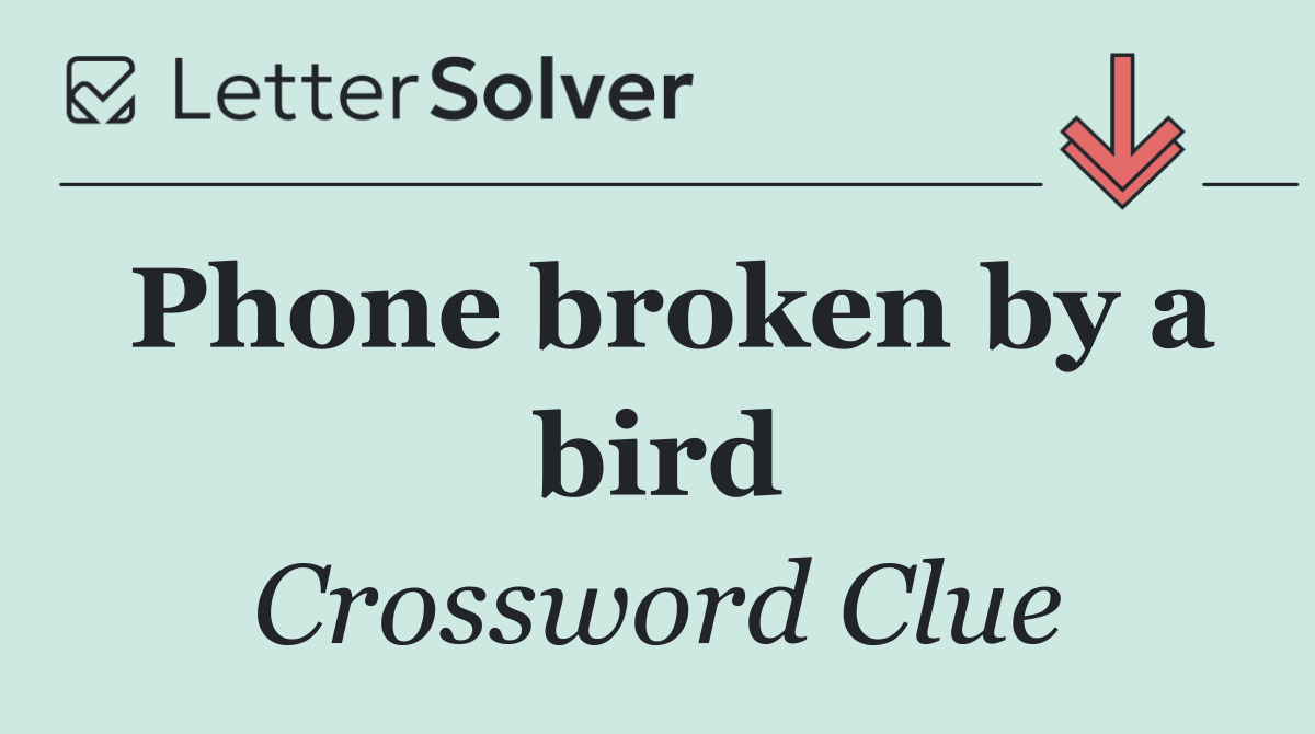 Phone broken by a bird