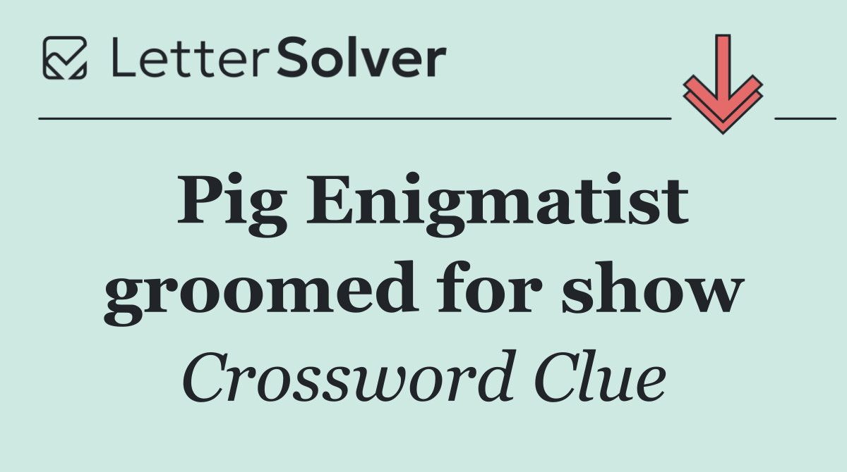 Pig Enigmatist groomed for show