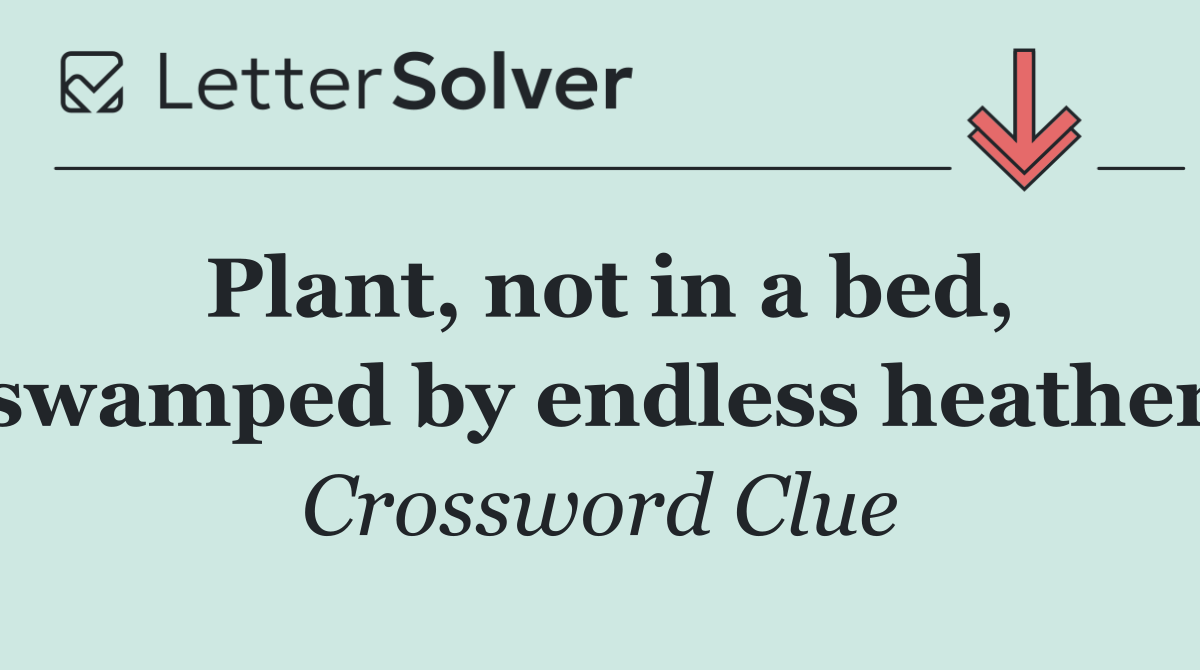 Plant, not in a bed, swamped by endless heather