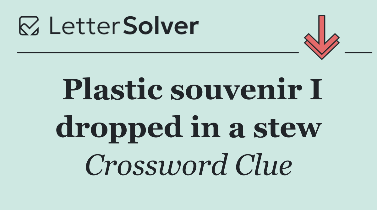 Plastic souvenir I dropped in a stew