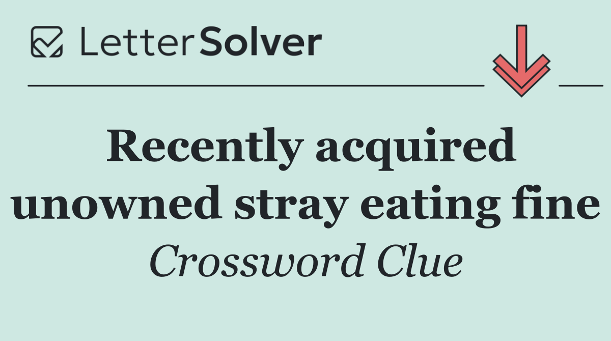 Recently acquired unowned stray eating fine