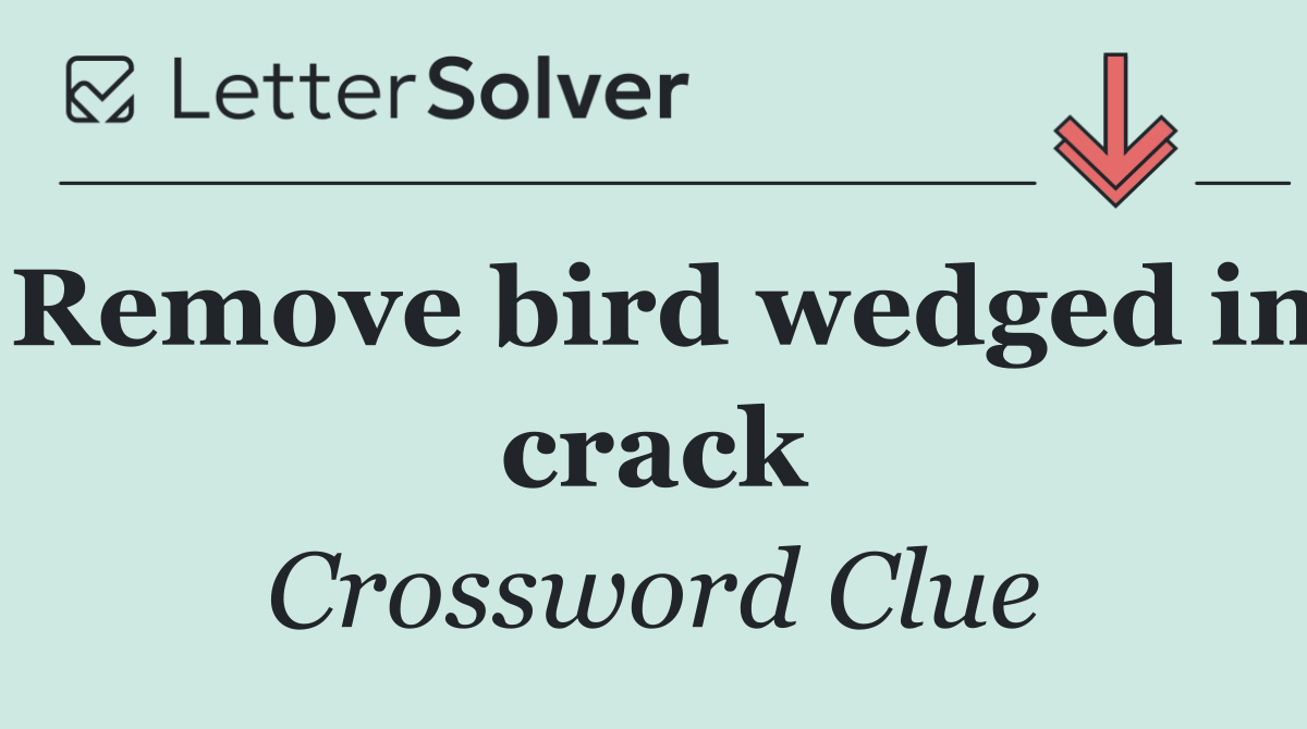 Remove bird wedged in crack