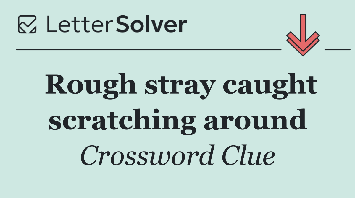 Rough stray caught scratching around