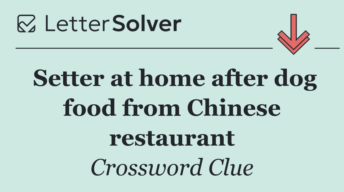 Setter at home after dog food from Chinese restaurant