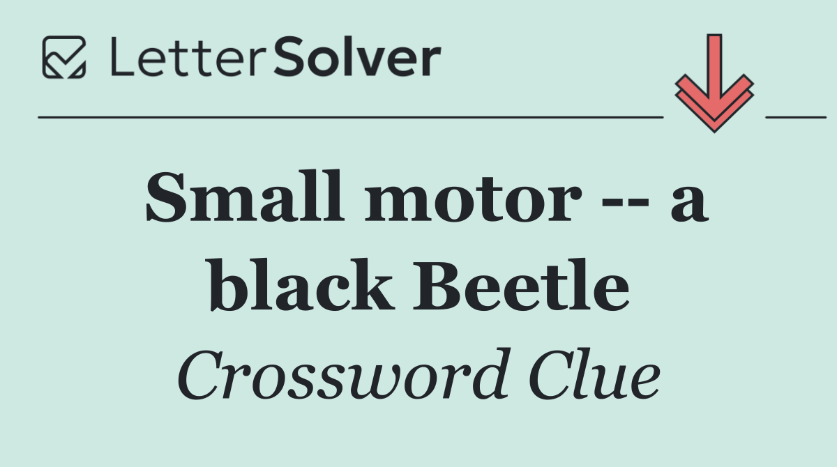 Small motor    a black Beetle