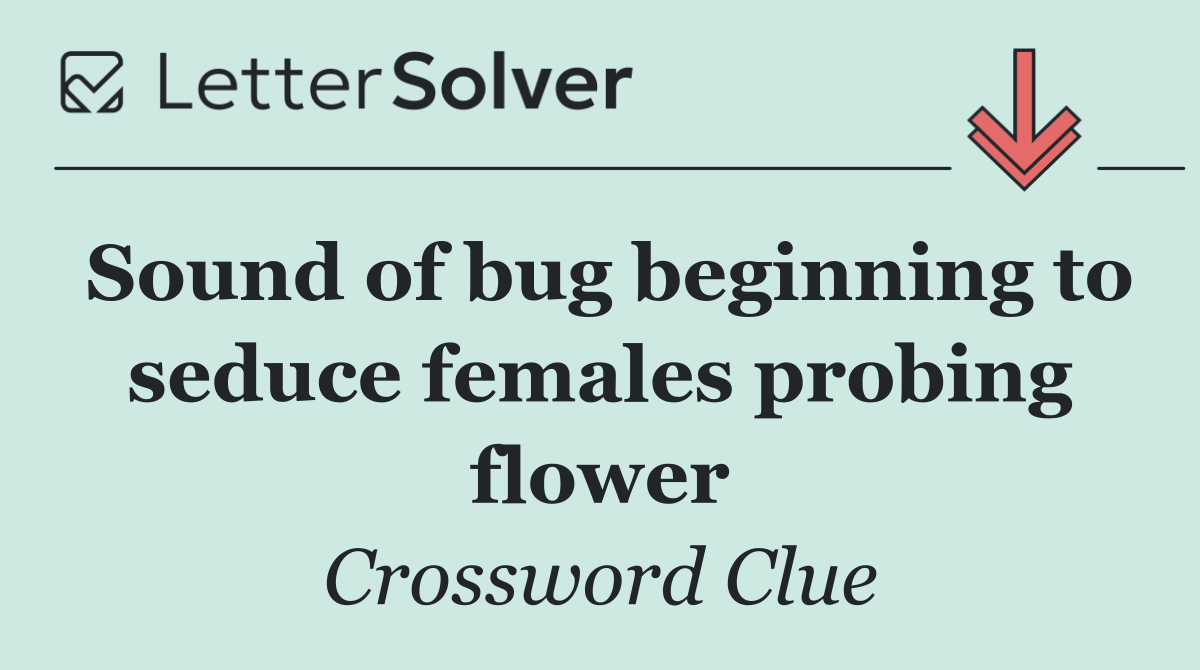 Sound of bug beginning to seduce females probing flower