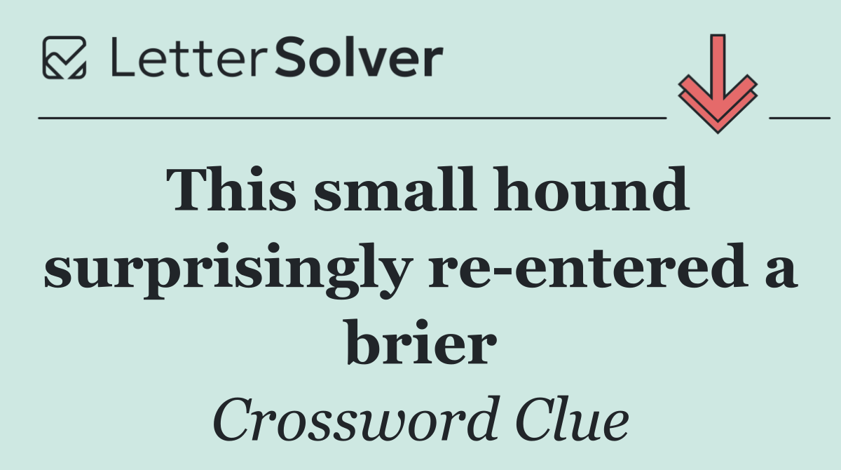 This small hound surprisingly re entered a brier