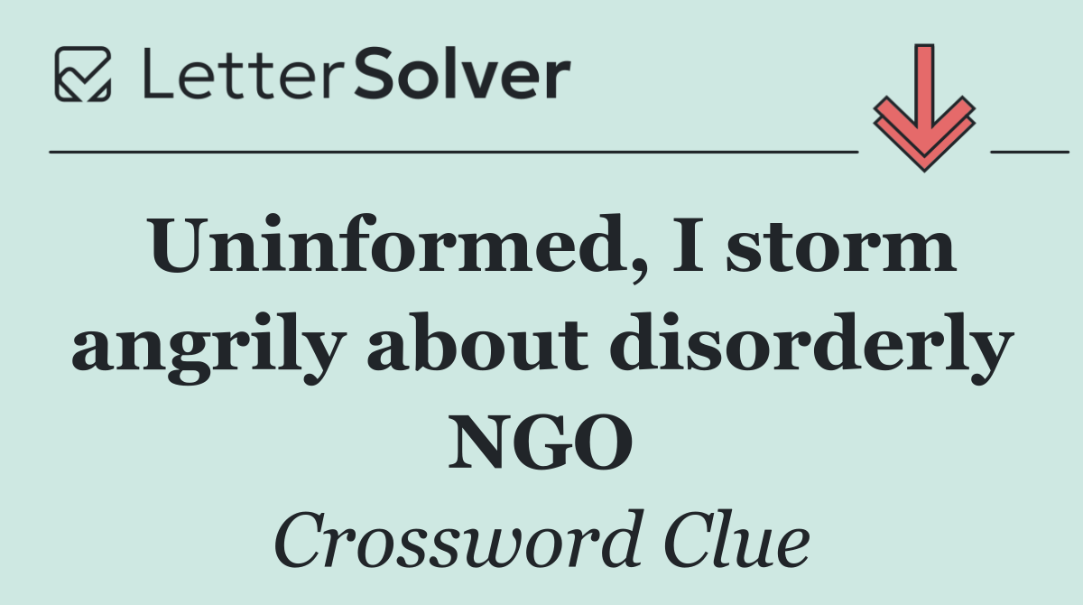 Uninformed, I storm angrily about disorderly NGO
