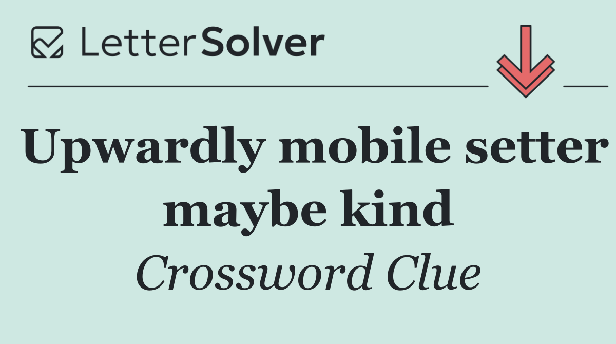 Upwardly mobile setter maybe kind