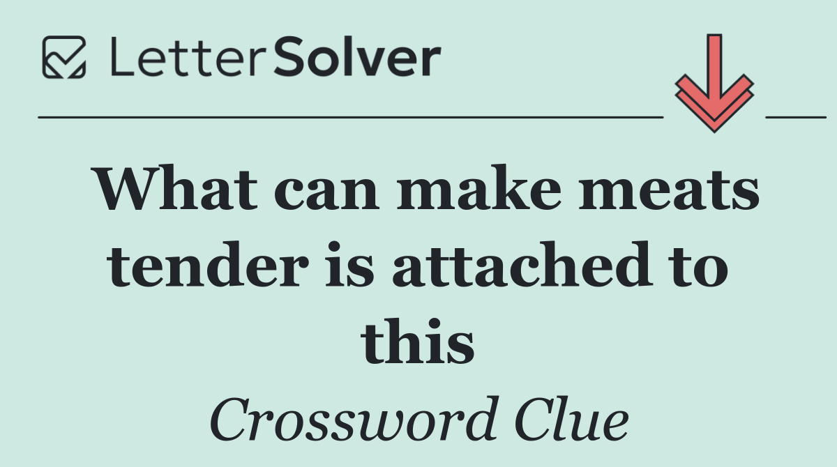 What can make meats tender is attached to this