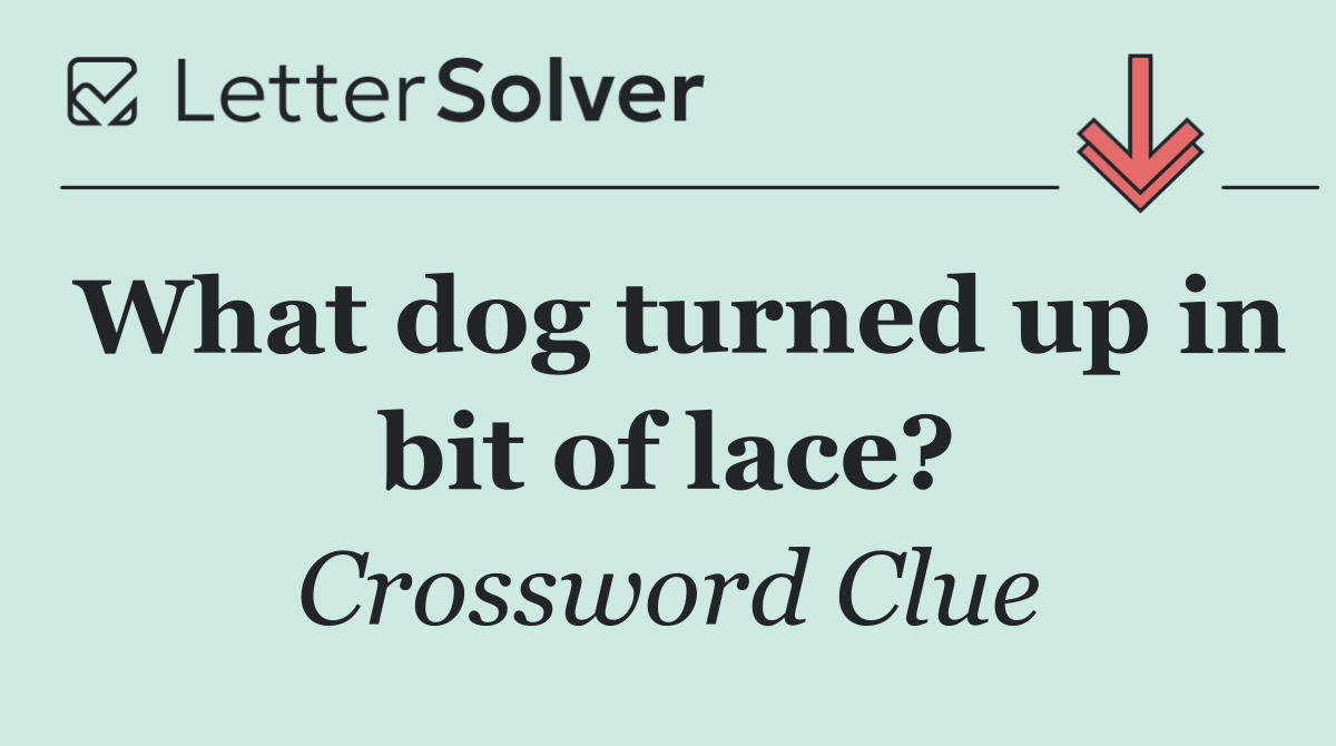 What dog turned up in bit of lace?