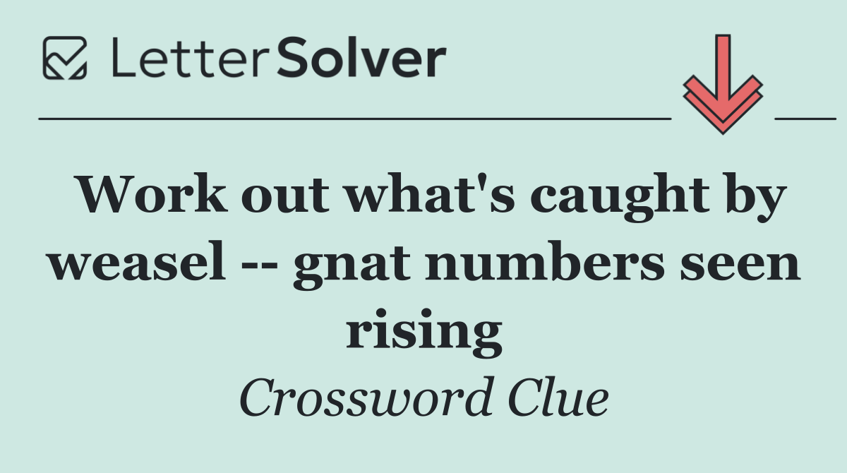 Work out what's caught by weasel    gnat numbers seen rising