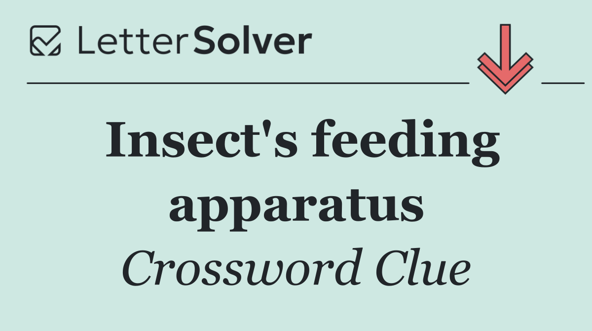 Insect's feeding apparatus