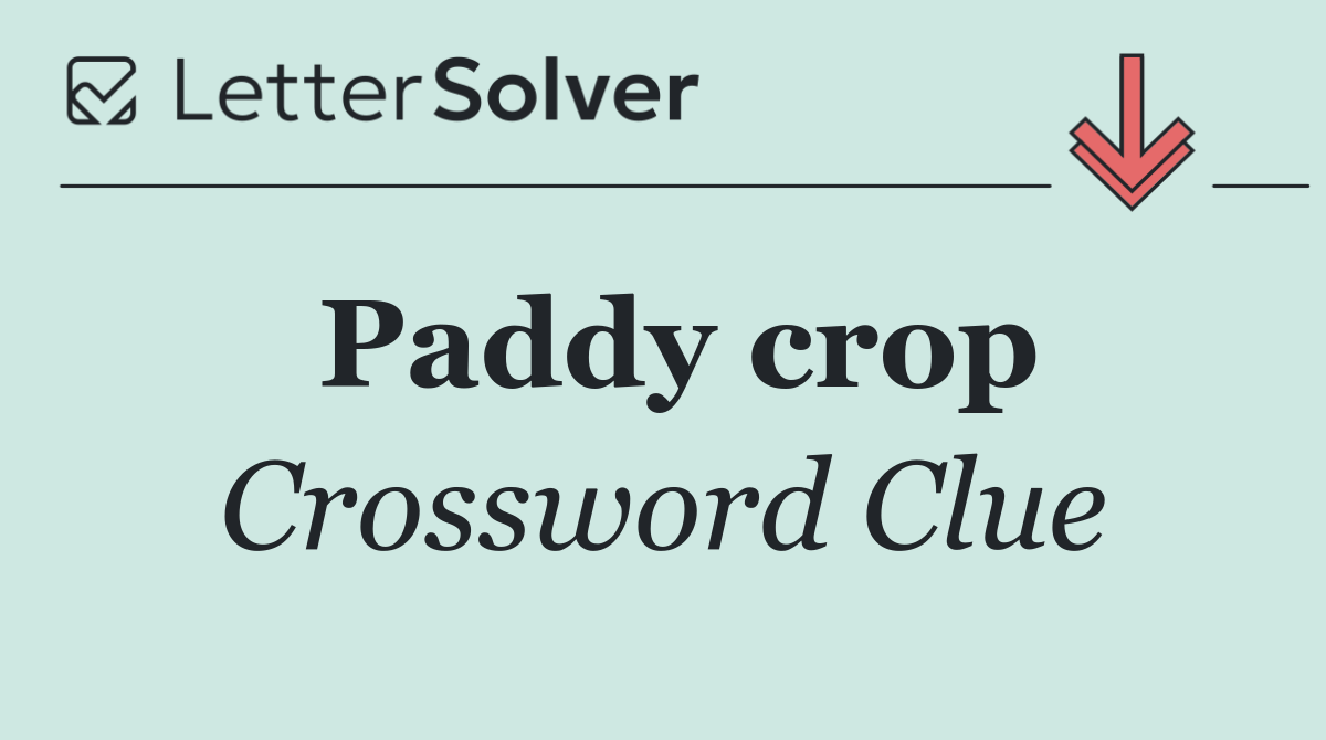 Paddy crop