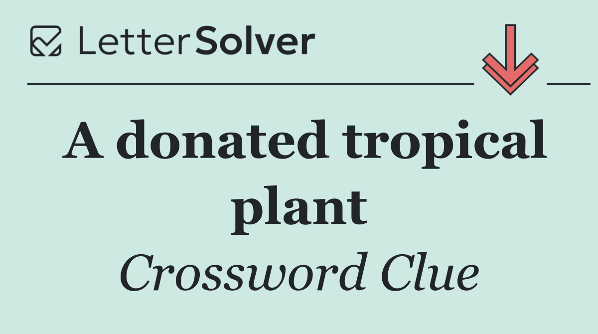 A donated tropical plant