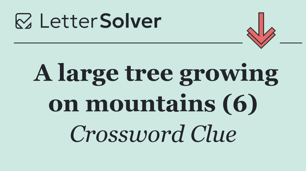 A large tree growing on mountains (6)