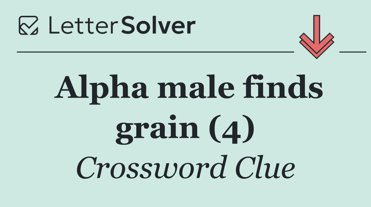 Alpha male finds grain (4)