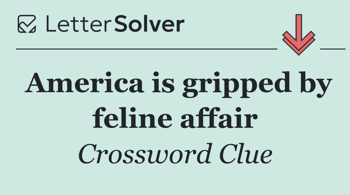 America is gripped by feline affair