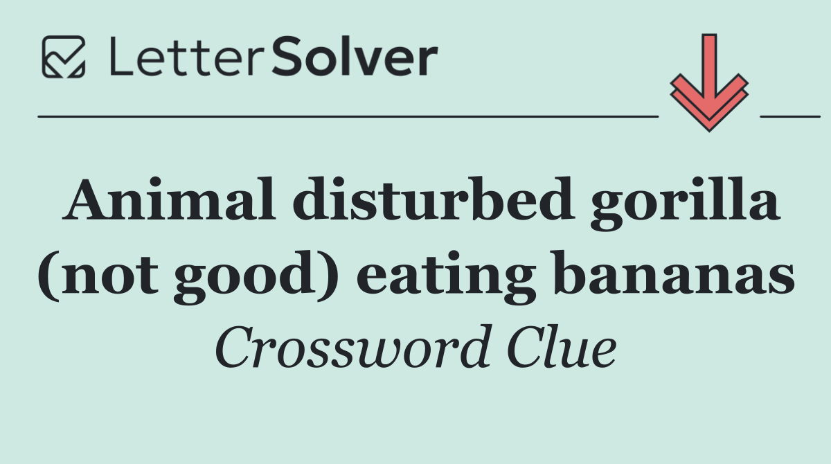 Animal disturbed gorilla (not good) eating bananas