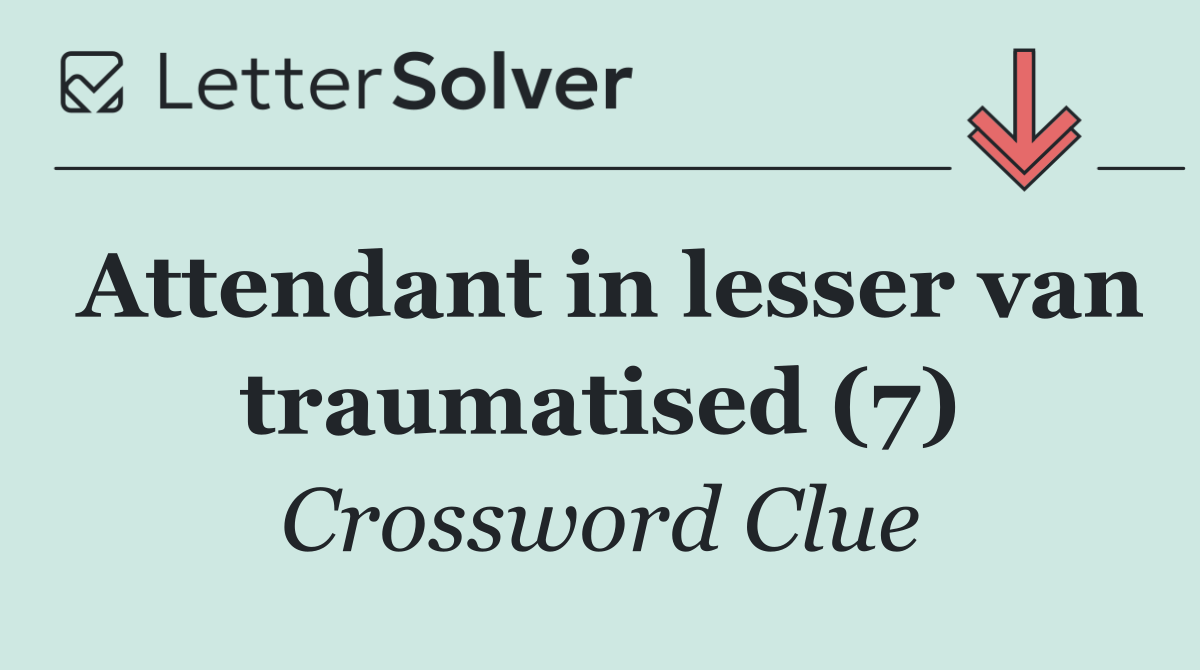 Attendant in lesser van traumatised (7)