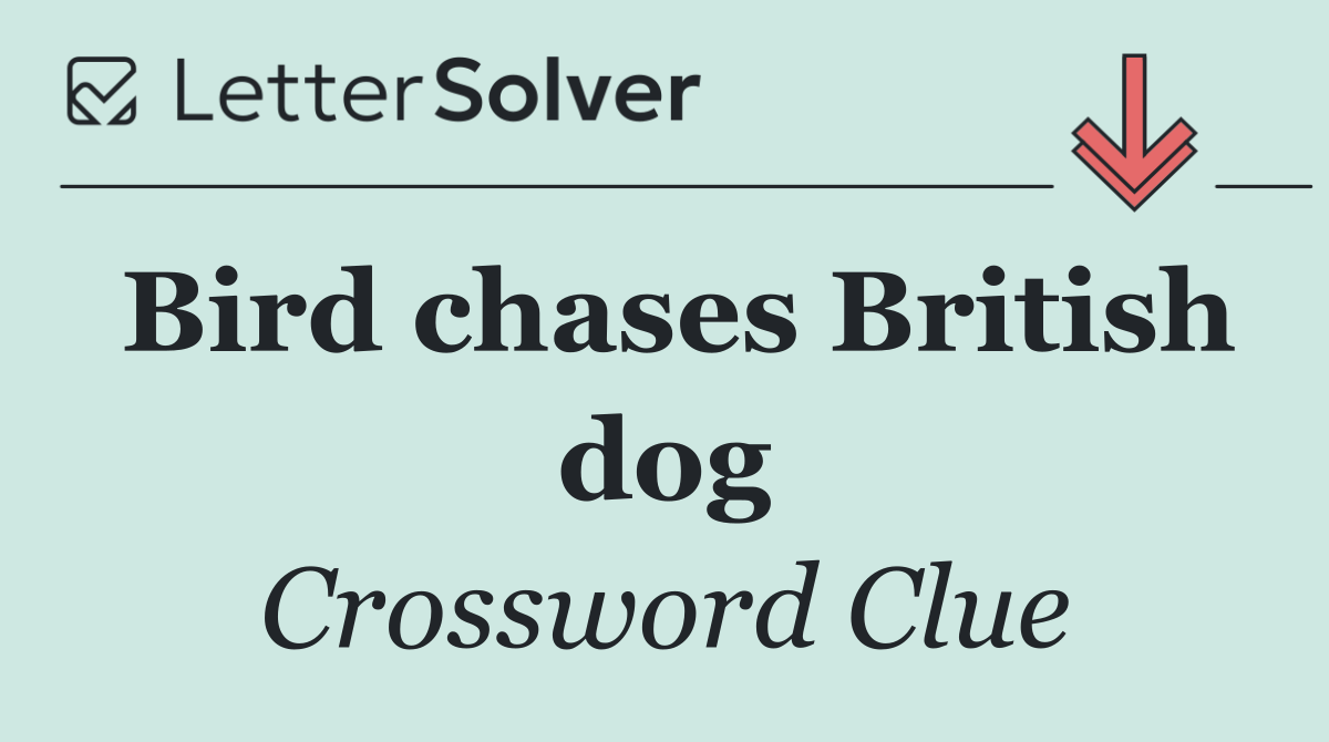 Bird chases British dog