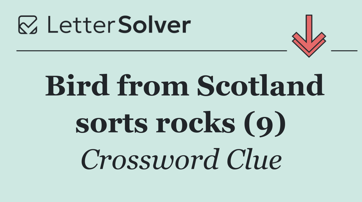 Bird from Scotland sorts rocks (9)
