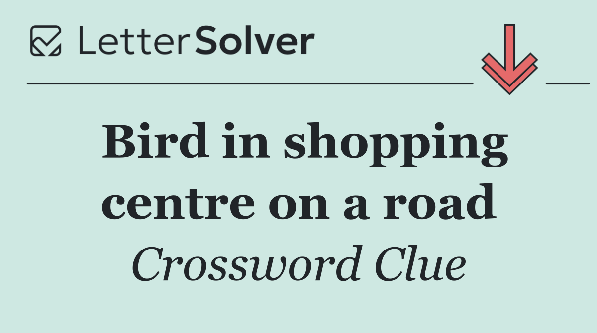 Bird in shopping centre on a road