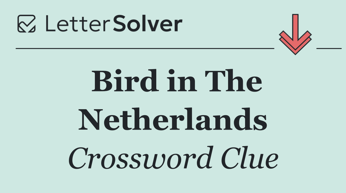 Bird in The Netherlands