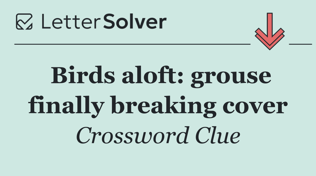 Birds aloft: grouse finally breaking cover