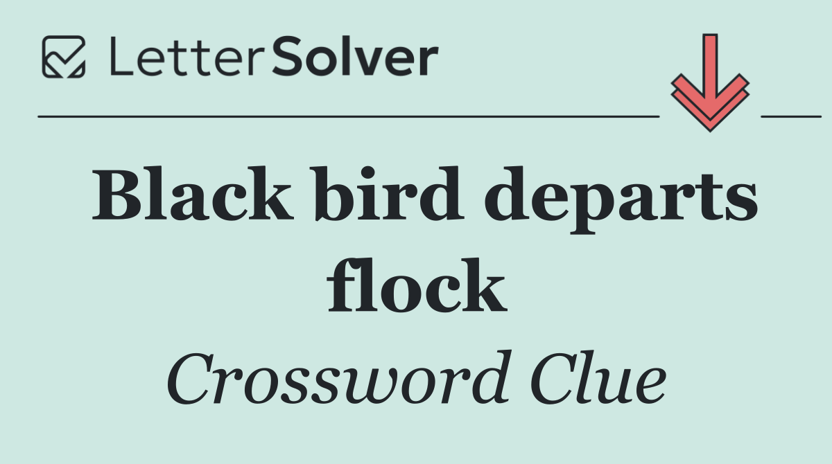 Black bird departs flock