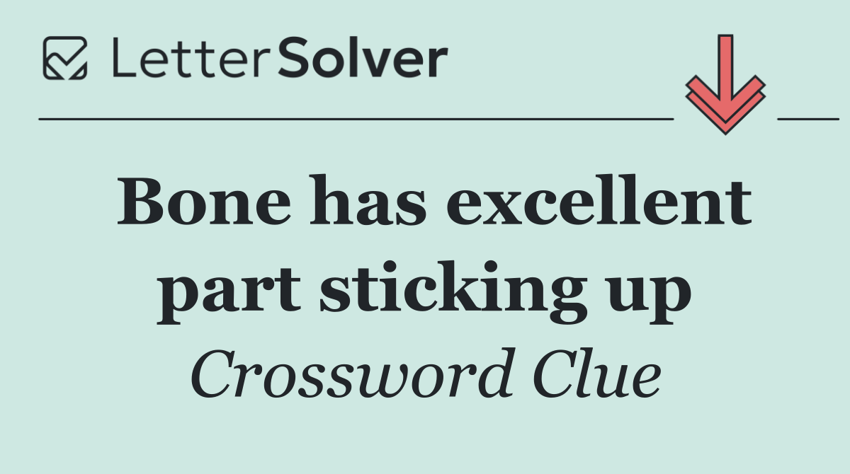 Bone has excellent part sticking up