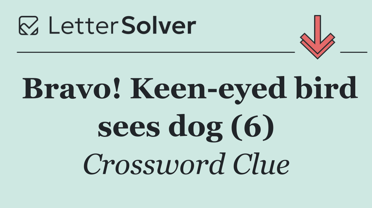 Bravo! Keen eyed bird sees dog (6)