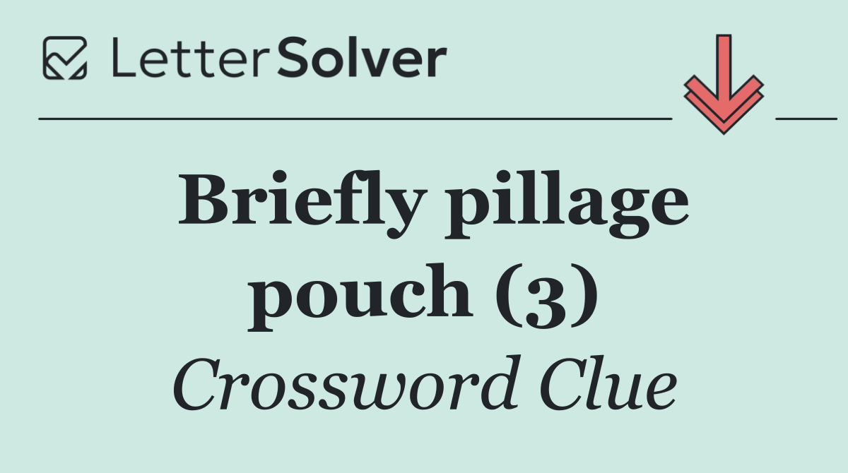 Briefly pillage pouch (3)