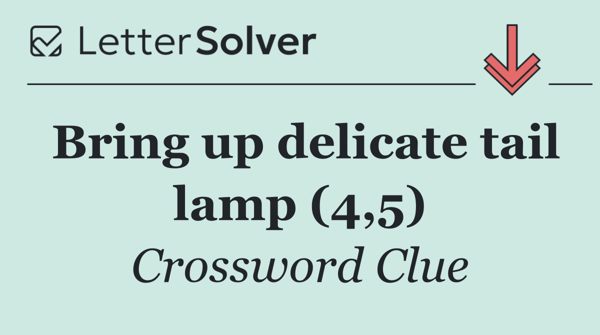Bring up delicate tail lamp (4,5)