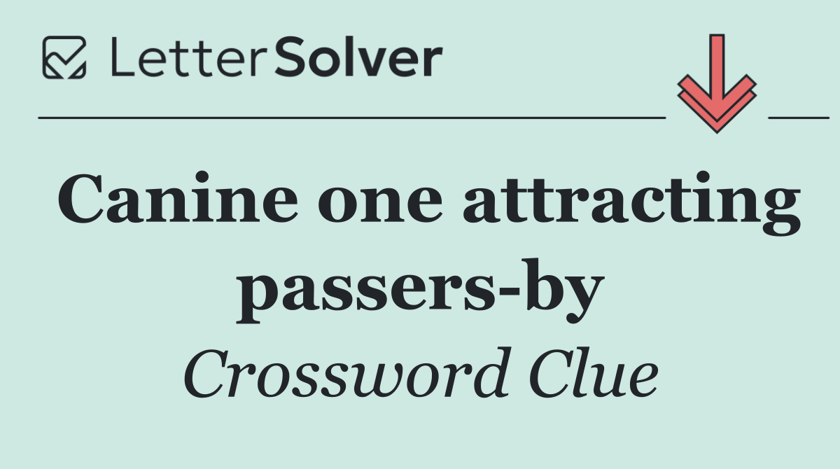 Canine one attracting passers by