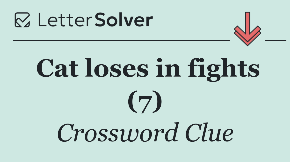 Cat loses in fights (7)