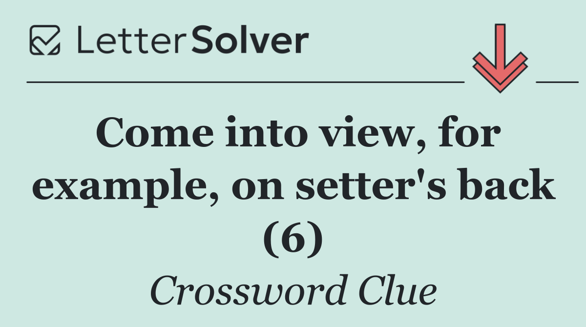 Come into view, for example, on setter's back (6)
