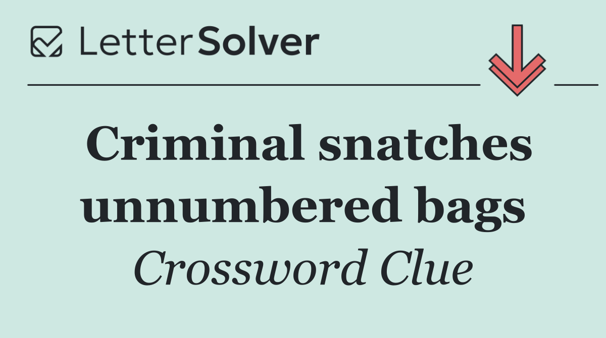 Criminal snatches unnumbered bags