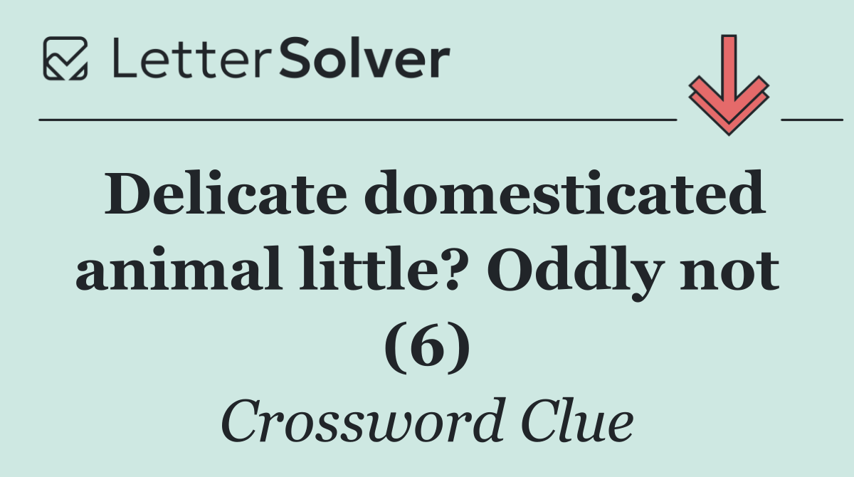Delicate domesticated animal little? Oddly not (6)