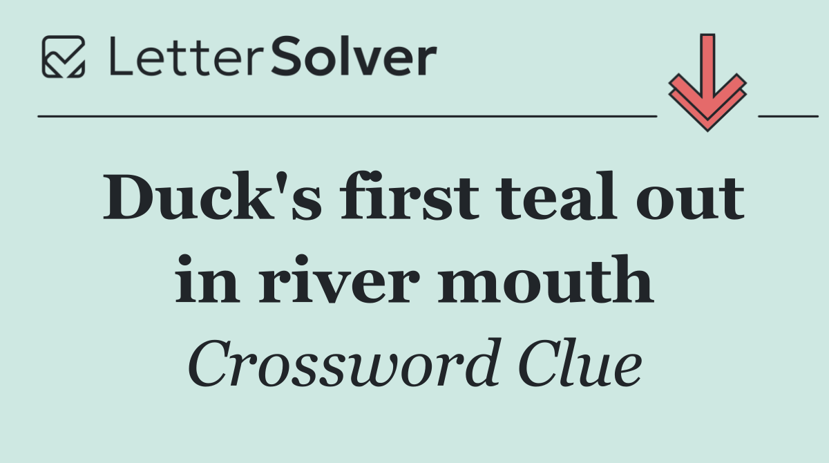 Duck's first teal out in river mouth